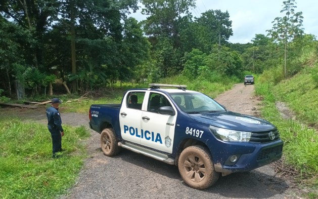 Hombre murió electrocutado mientras podaba árboles en Mariato, Veraguas 