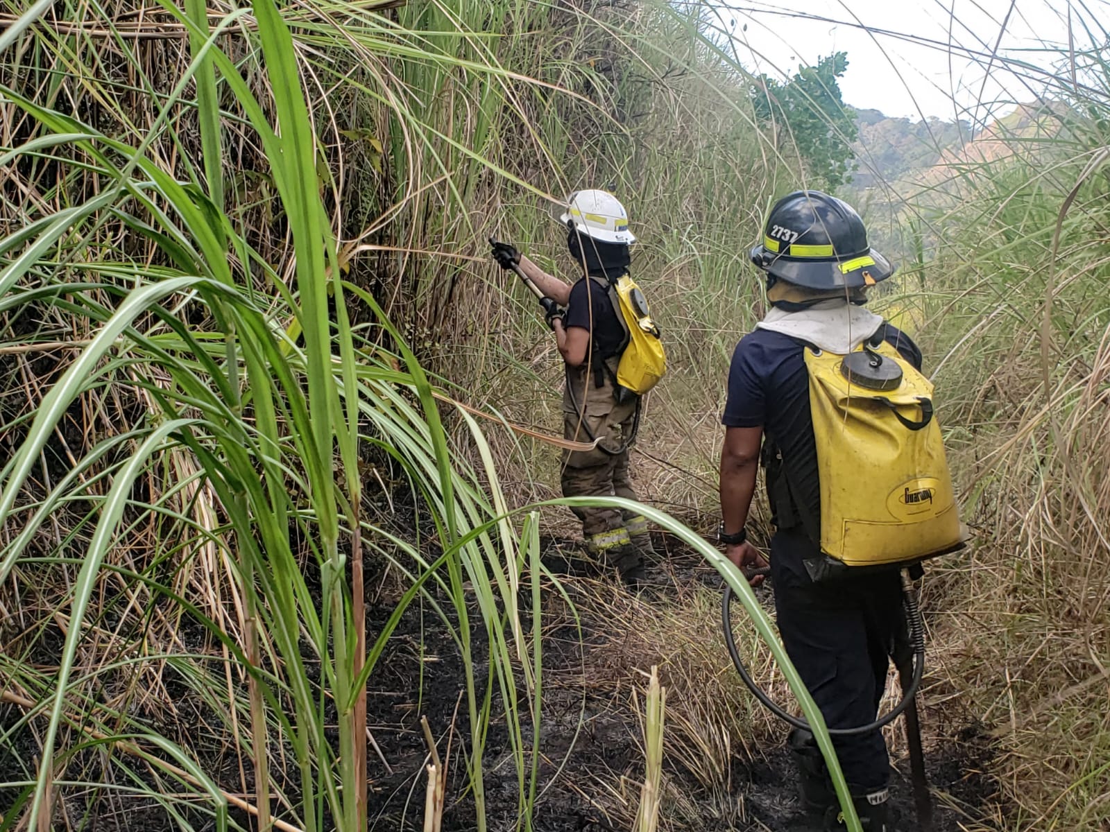 Realizarán un simulacro de incendio de masa vegetal este domingo 12 de enero 