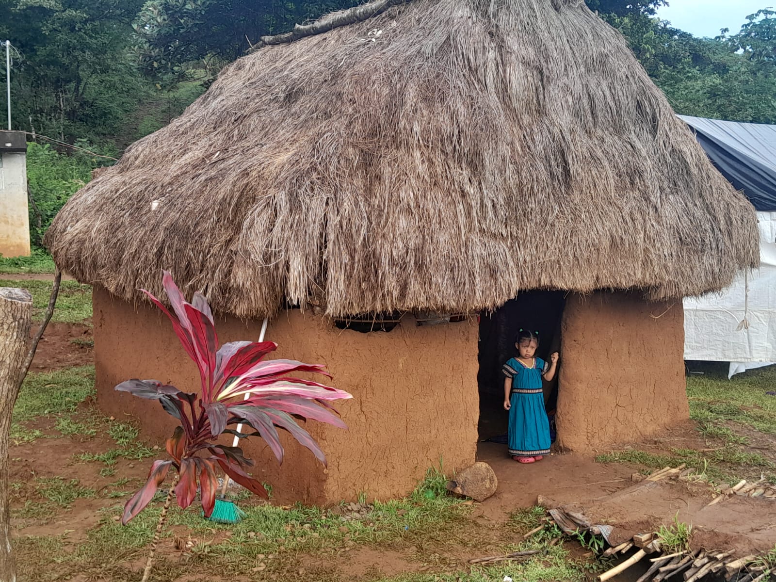 Hermosa vista de esta pequeña en una casa de modelo tradicional. Foto: Didier Hernán Gil