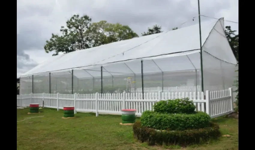 Feria  Internacional de La Chorrera.