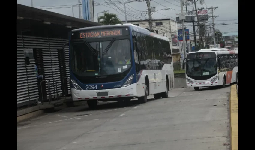 Los buses modelo Torino están funcionando con mayor frecuencia en el sector este. Foto: Roberto Barrios