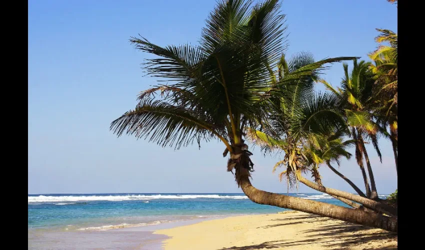 Foto ilustrativa de las paradisíacas playas. 