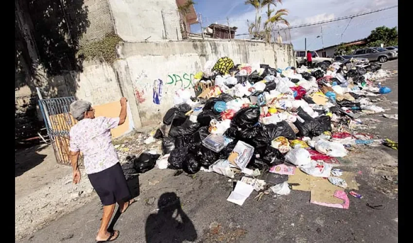 Piden a la Autoridad de Aseo que la recoja. Foto: Brenda Ducreux