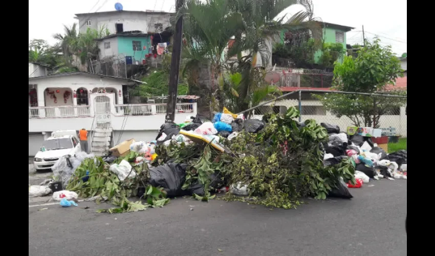 Muchos pataconcitos en San Miguelito se convierten en focos de criaderos de mosquitos y alimañas. Foto: Archivo