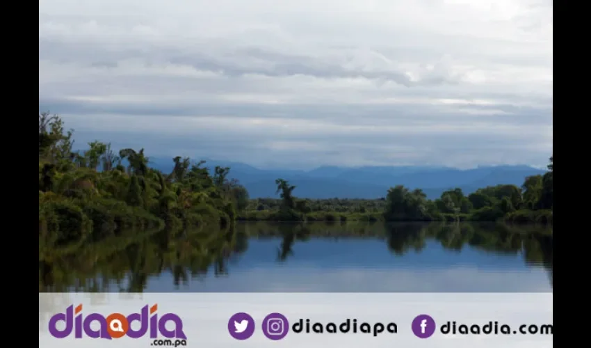 Proteger el  medio ambiente es deber de toda la población. Foto: Epasa