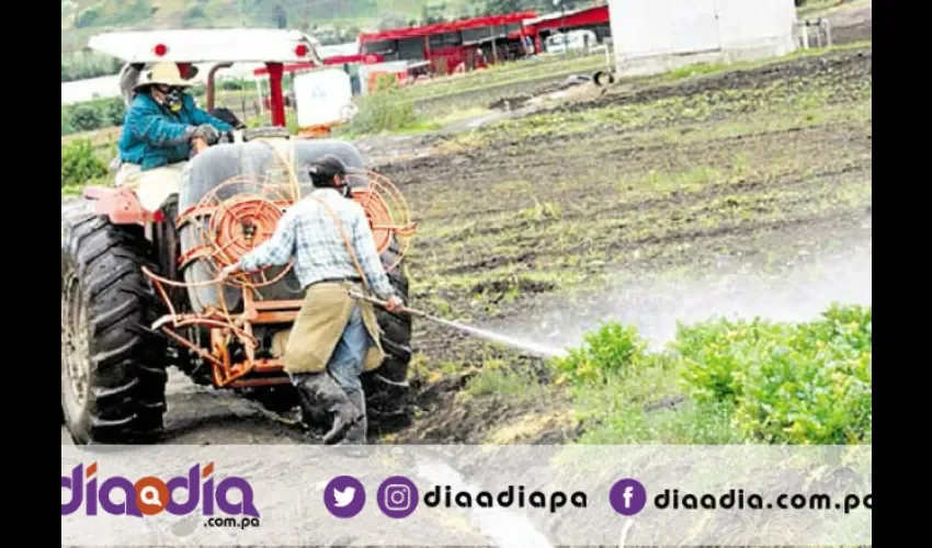 Es importante no abusar de los contenidos por protección a la salud. Foto: Epasa