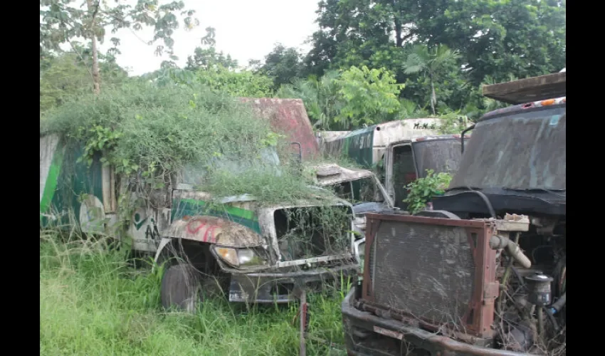 Chatarra fue descartada por la AAUD. Foto: Cortesía