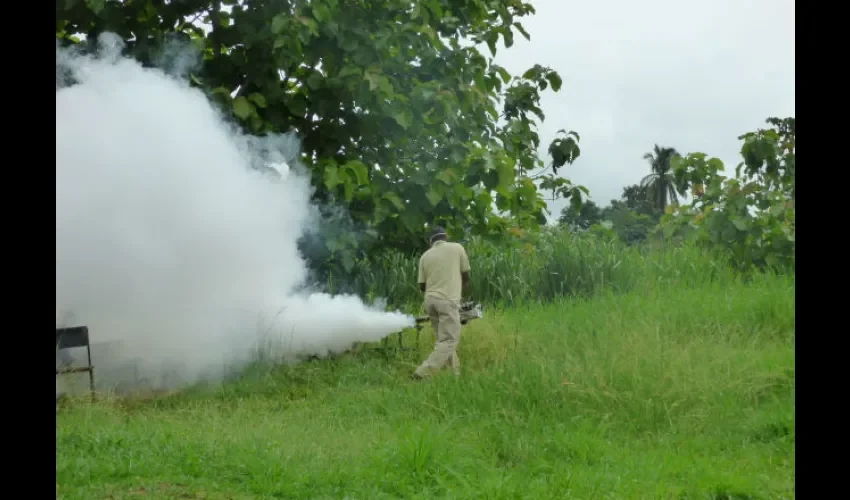 Operativo de fumigación. 