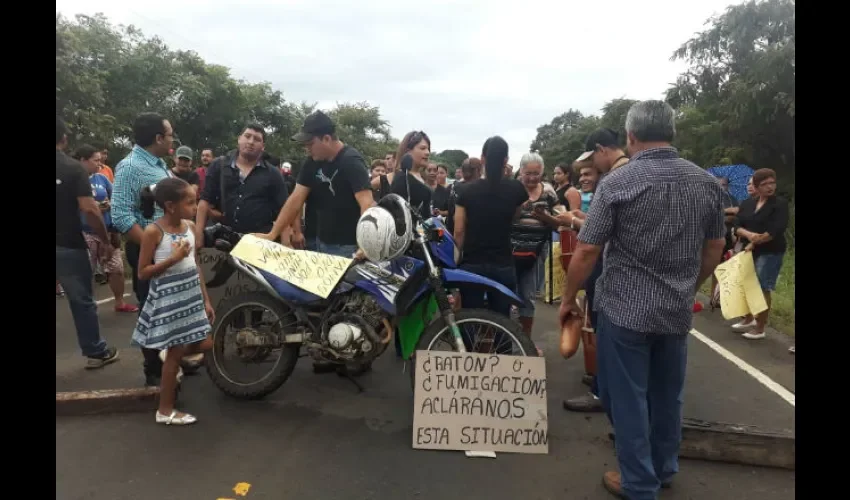 Tonosieños protestan.