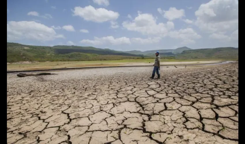 Productores quieren estar preparado para tiempos se sequías. Foto: Efe