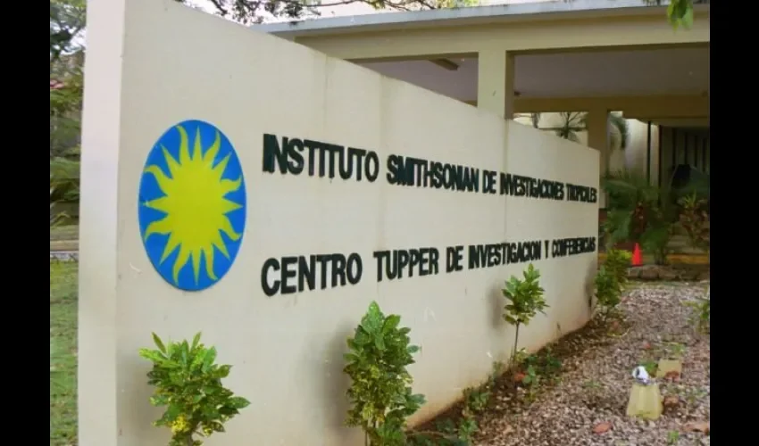 Instituto Smithsonian de Investigaciones Tropicales.