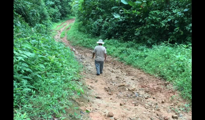 Caminos de tierra que empeoran con la lluvia. Foto: Diómedes Sánchez