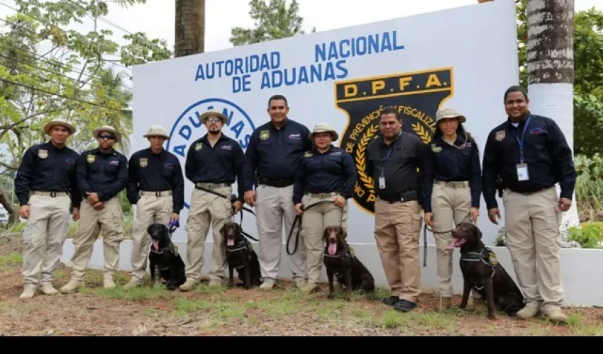 Canes cuidarán seguridad de área de carga de Aeropuerto de Tocumen. Foto: Cortesía