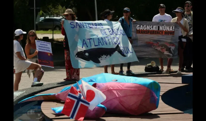 Australia está a favor de crear nuevos santuarios para ballenas.