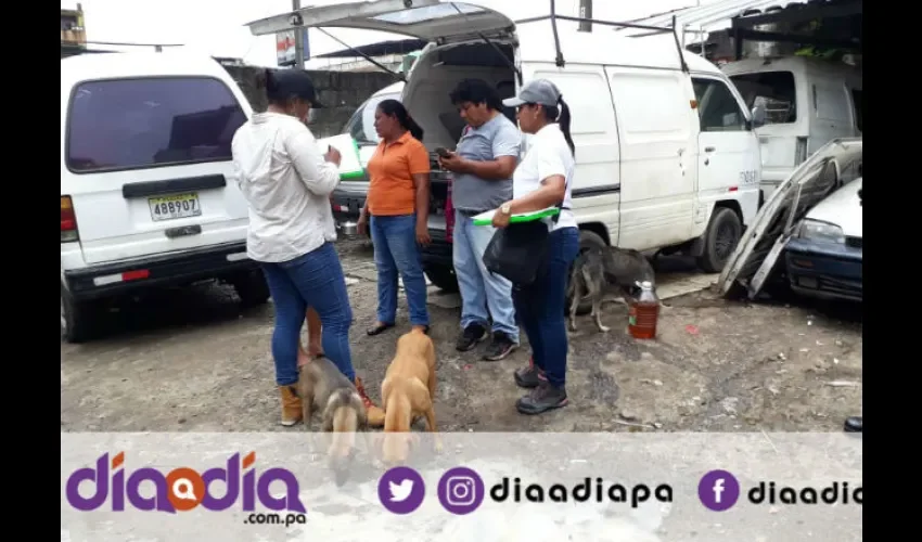 Los perros quedaron disfrutando de la comida dañada. Fotos: Roberto Barrios 