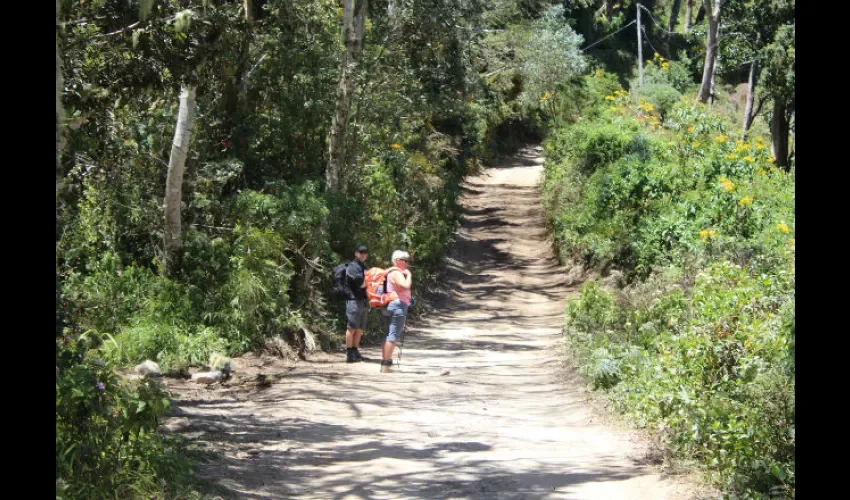 Turistas en el volcán Barú. Foto: Mayra Madrid