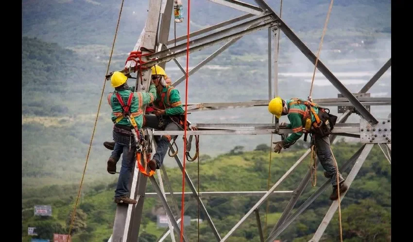 Foto ilustrativa de la jornada de trabajo realizada en la Catedral. Cortesía 