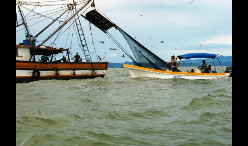 Foto ilustrativa de buques pesqueros. Cortesía @arap_panama 