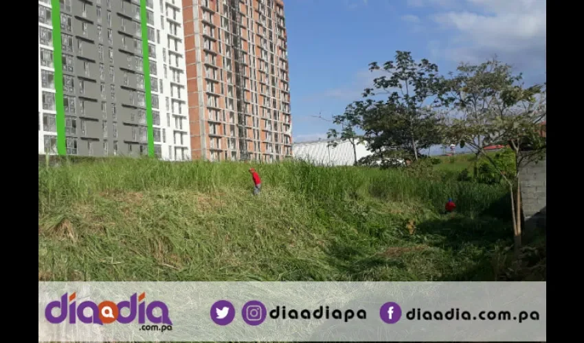 Según los vecinos en ese sitio hay un terreno privado que siempre está lleno de monte. Foto: Jesús Simmons