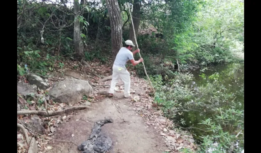 En el lugar los productores encontraron los restos de animales descuartizados.