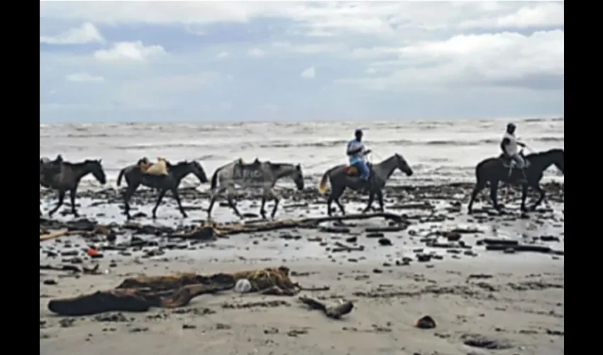 En Panamá, desde el pasado 23 de octubre de 2019, las autoridades buscan a un pescador panameño identificado como Albin Marquínez, de 24 años de edad, quien desapareció cuando se mantenía a bordo de una embarcación a cuatro millas náuticas de playa El Porvenir en Barú.