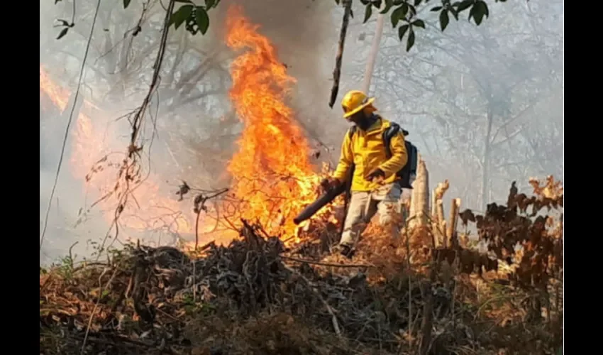 Incendios. 