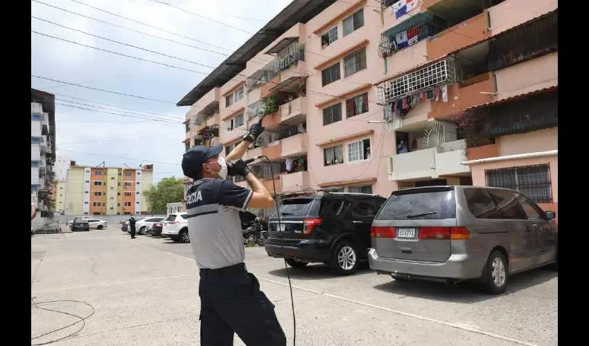  El pasado domingo aparecieron en Villa Norma de Juan Díaz; Costa del Este; parque Urracá y Paraíso de San Miguelito.