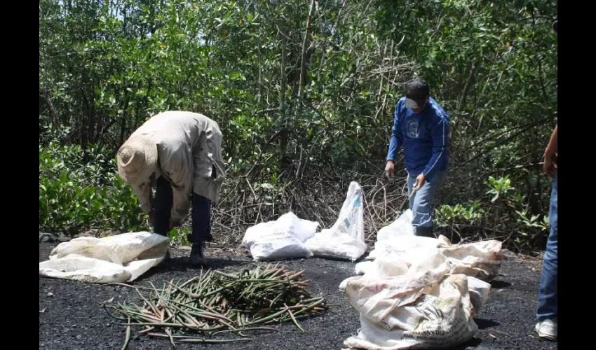 Foto ilustrativa de los trabajadores. 