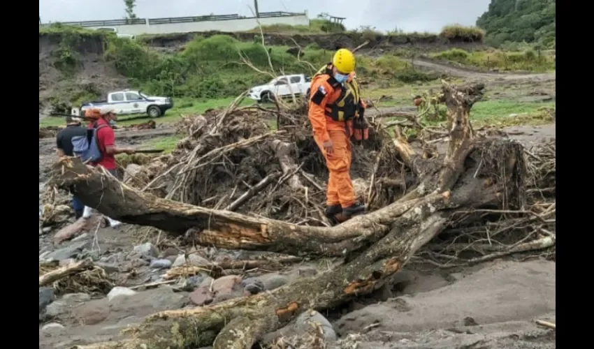 Desaparecidos. 