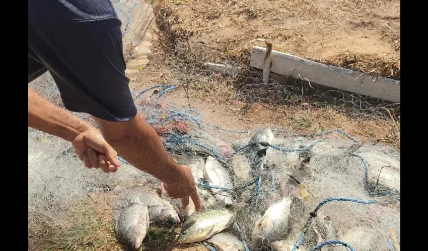 Foto ilustrativa de la pesca. 