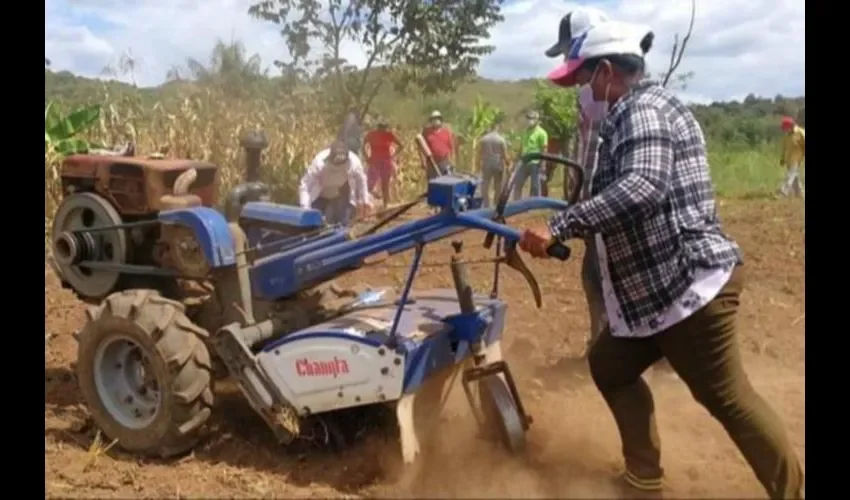 Incluye proyectos agrícolas como la implementación de sistema de riegos.  Foto: Cortesía 