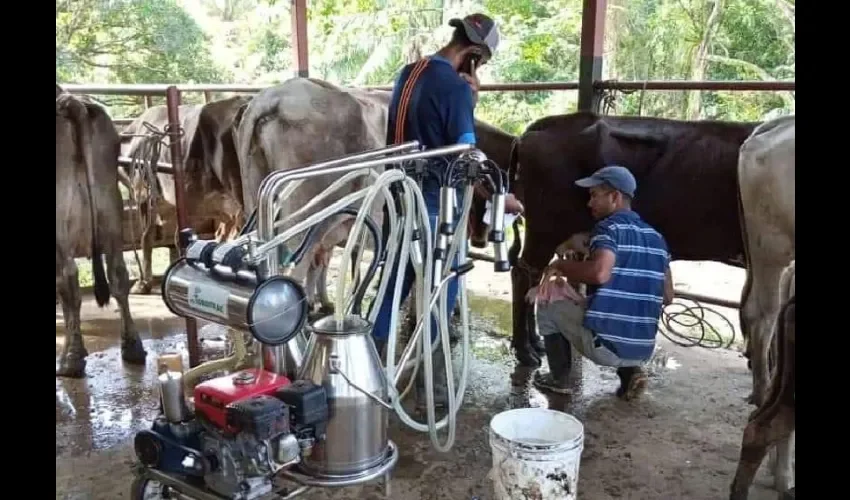 Foto ilustrativa de la inspección. 