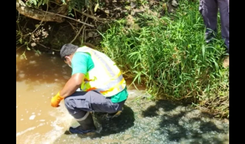 Foto ilustrativa de la inspección. 