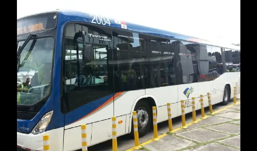 Foto ilustrativa de los buses. 