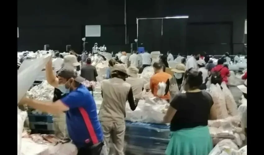 Foto ilustrativa de las bolsas de comida. 