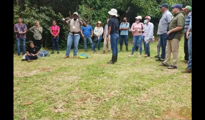 Foto ilustrativa de la atención. 