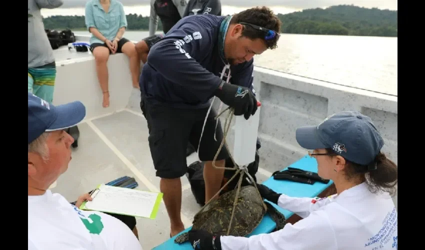 Biólogos se mantienen alerta en todo el territorio nacional. 