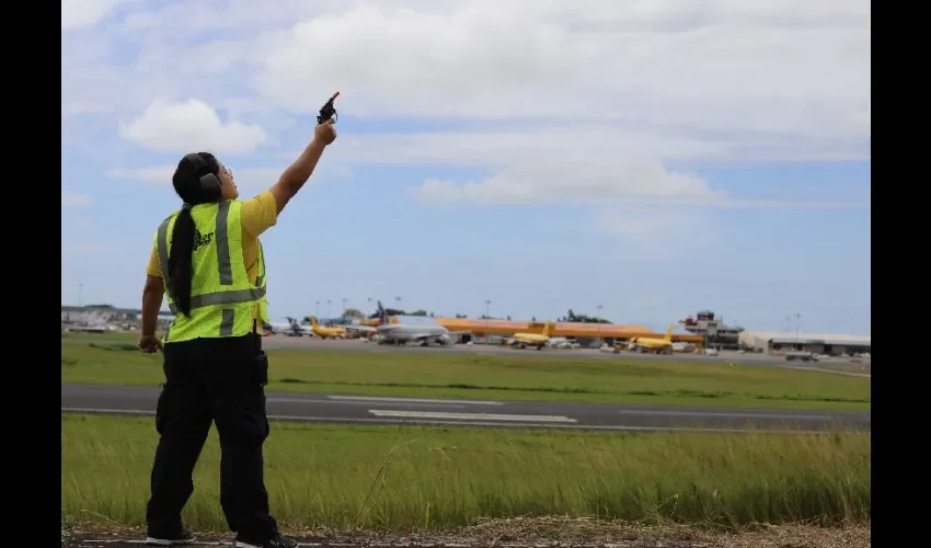 Inspectores realizan tareas en el aeropuerto. 