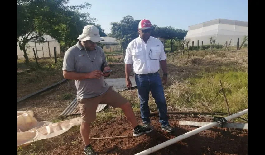 Productores se mantienen alerta. 