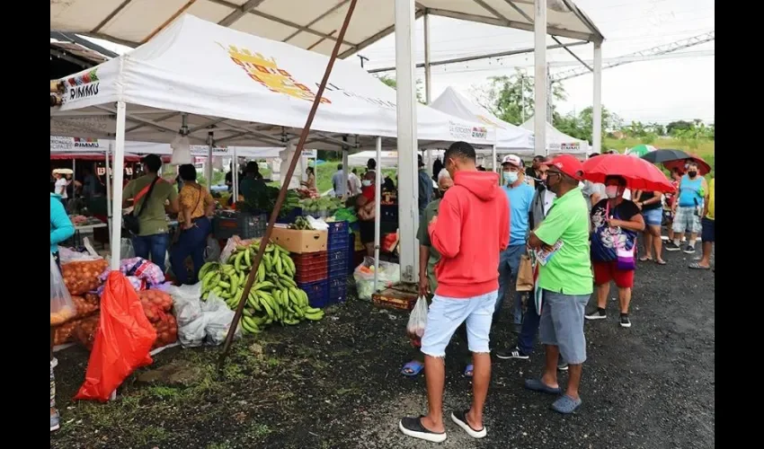 Sí, exigen carné de salud a los productores. 