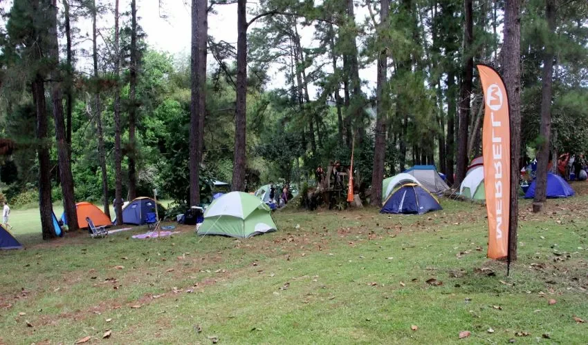 Vista del área del parque para acampar. 