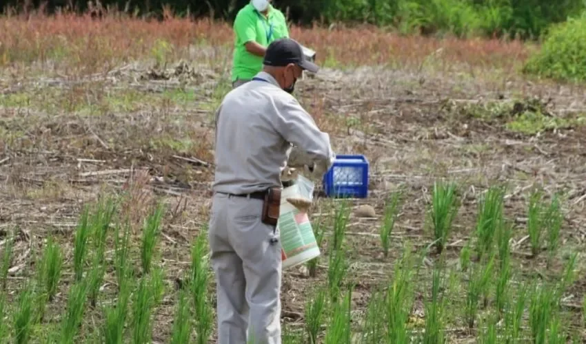 Los inspectores se mantienen alerta. 