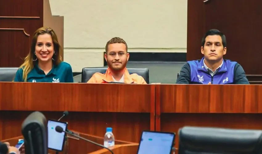 Participación en la Asamblea. 