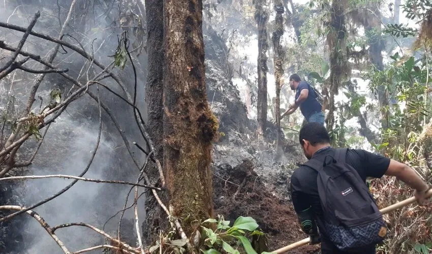 Vista de las labores contra el fuego.