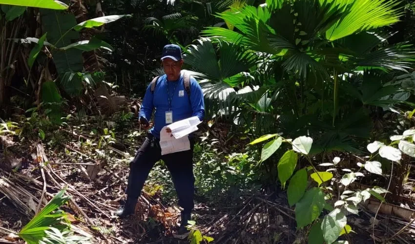 Los inspectores monitorean las zonas. 