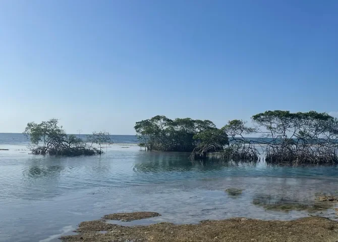  Presentan a Mi Ambiente iniciativa de crear área protegida en Santa Isabel, Colón 