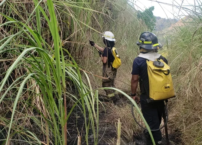  Realizarán un simulacro de incendio de masa vegetal este domingo 12 de enero 